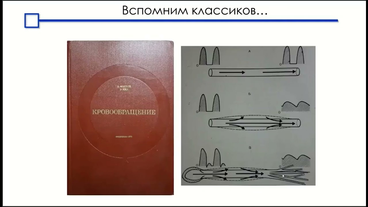 Измерение сердечного выброса   Аксельрод Б.А. 2022