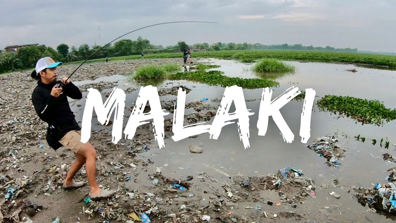This TAMBAKAN NG BASURA is LOADED with MASSIVE SNAKEHEAD | URBAN FISHING | Y3E5