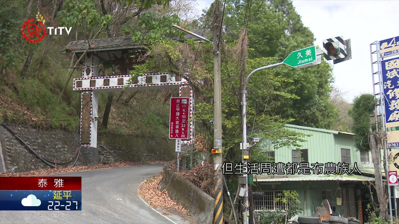 久美雀榕神樹從未枯死 激勵部落力振文化 2021-09-15 Cou IPCF-TITV 原文會 原視族語新聞