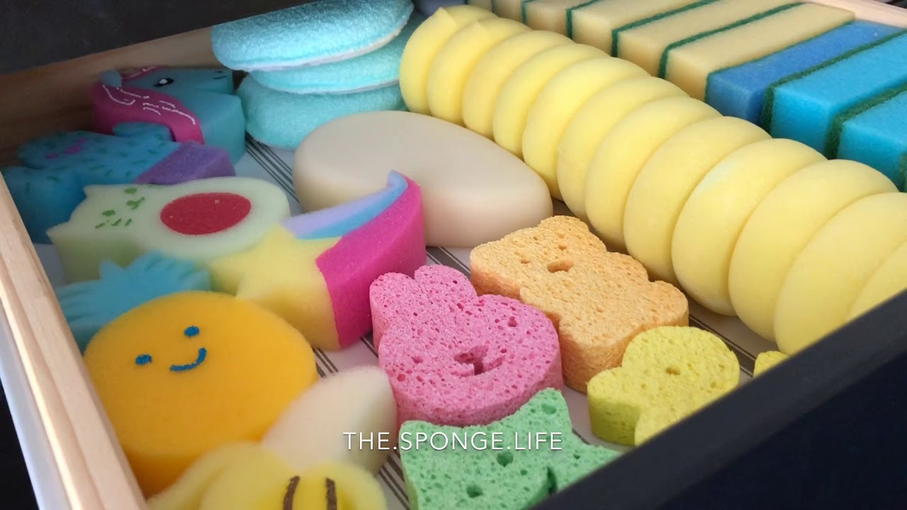 🧽 My Sponge & Product Collection! 🧽 | Requested Video