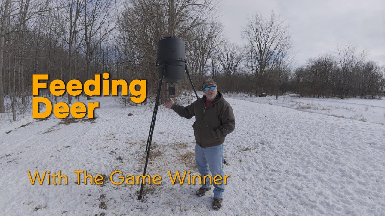 Feeding Deer with the Game Winner feeder