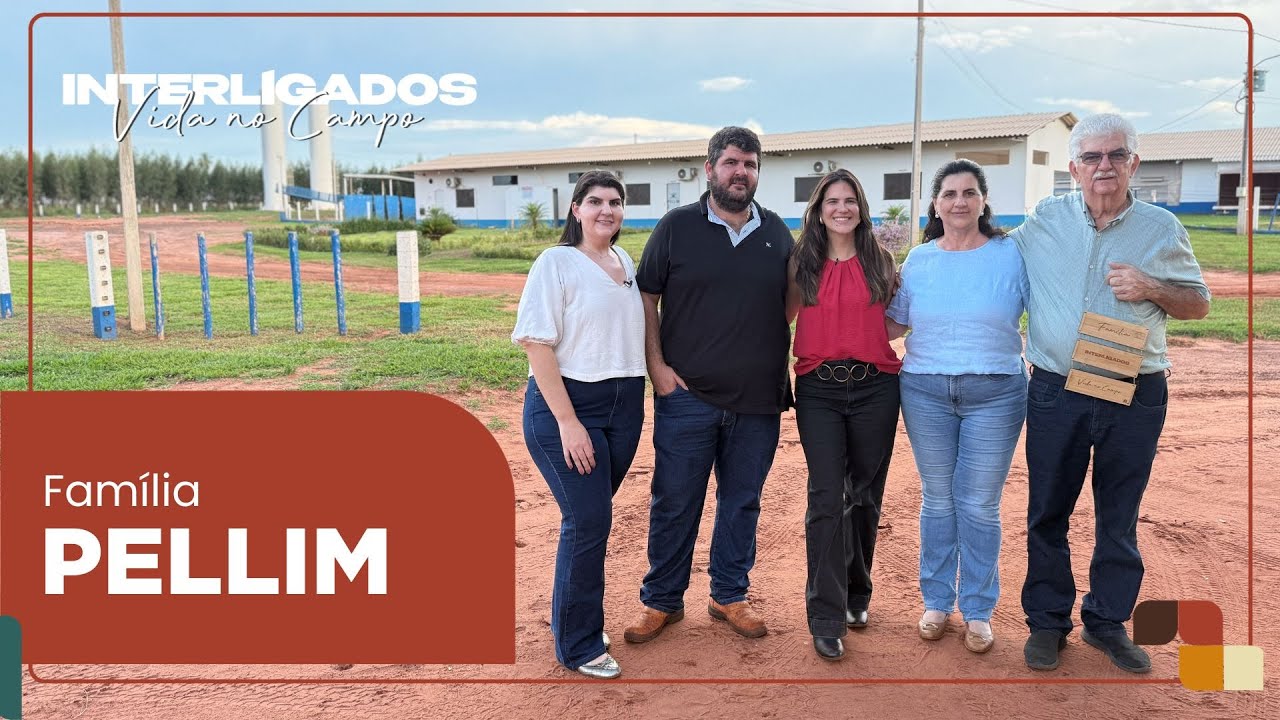 Aos 65, Sebastião investe na suinocultura pelo futuro dos filhos | Interligados - Vida no Campo