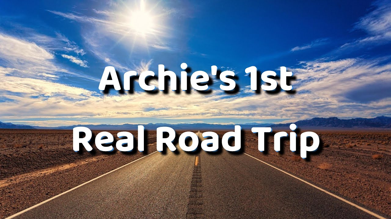 Archie the German Shorthaired Pointer's First Road Trip and Some Cute Sounds
