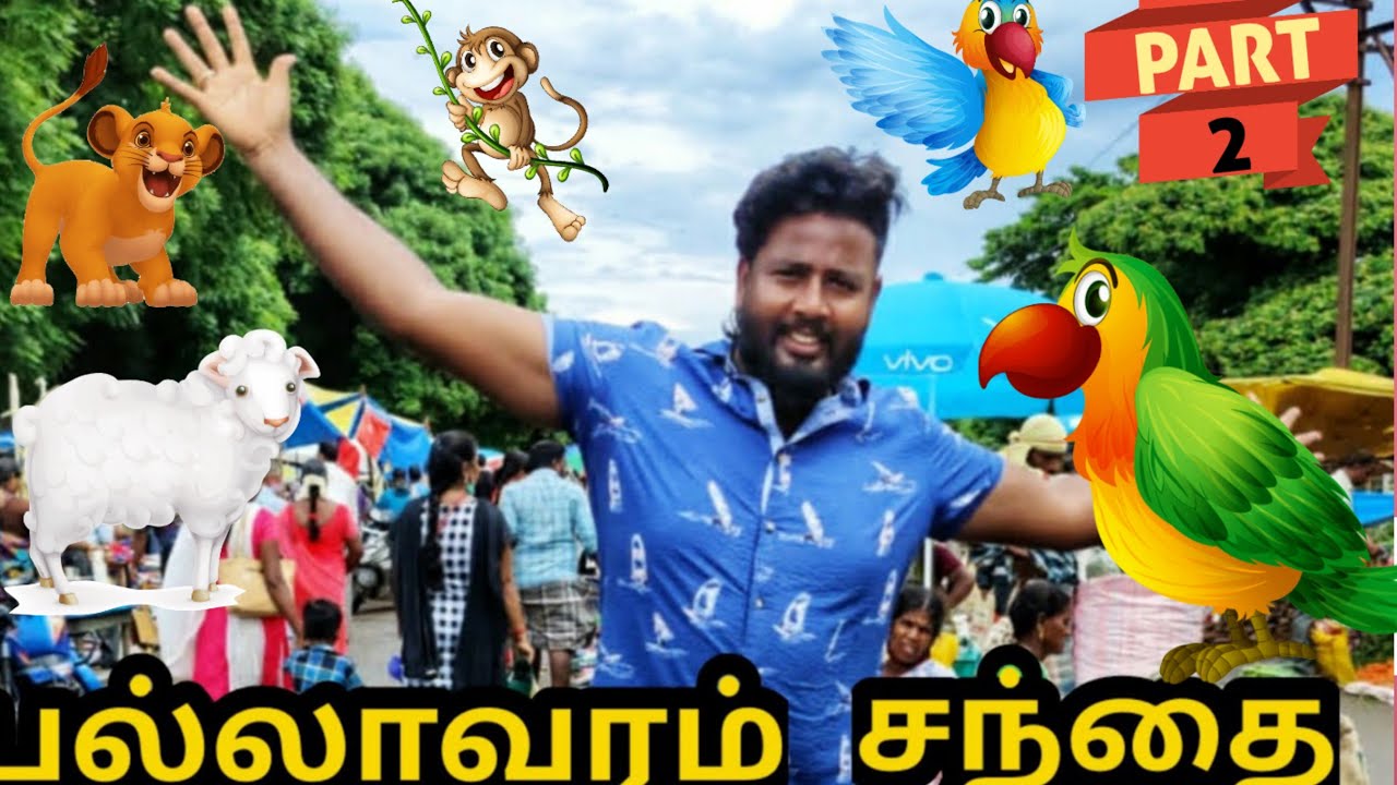 பல்லாவரம் சந்தை மீண்டும் திறந்தாட்சி / Pallavaram friday market / A to Z Pallavaram market / PART II