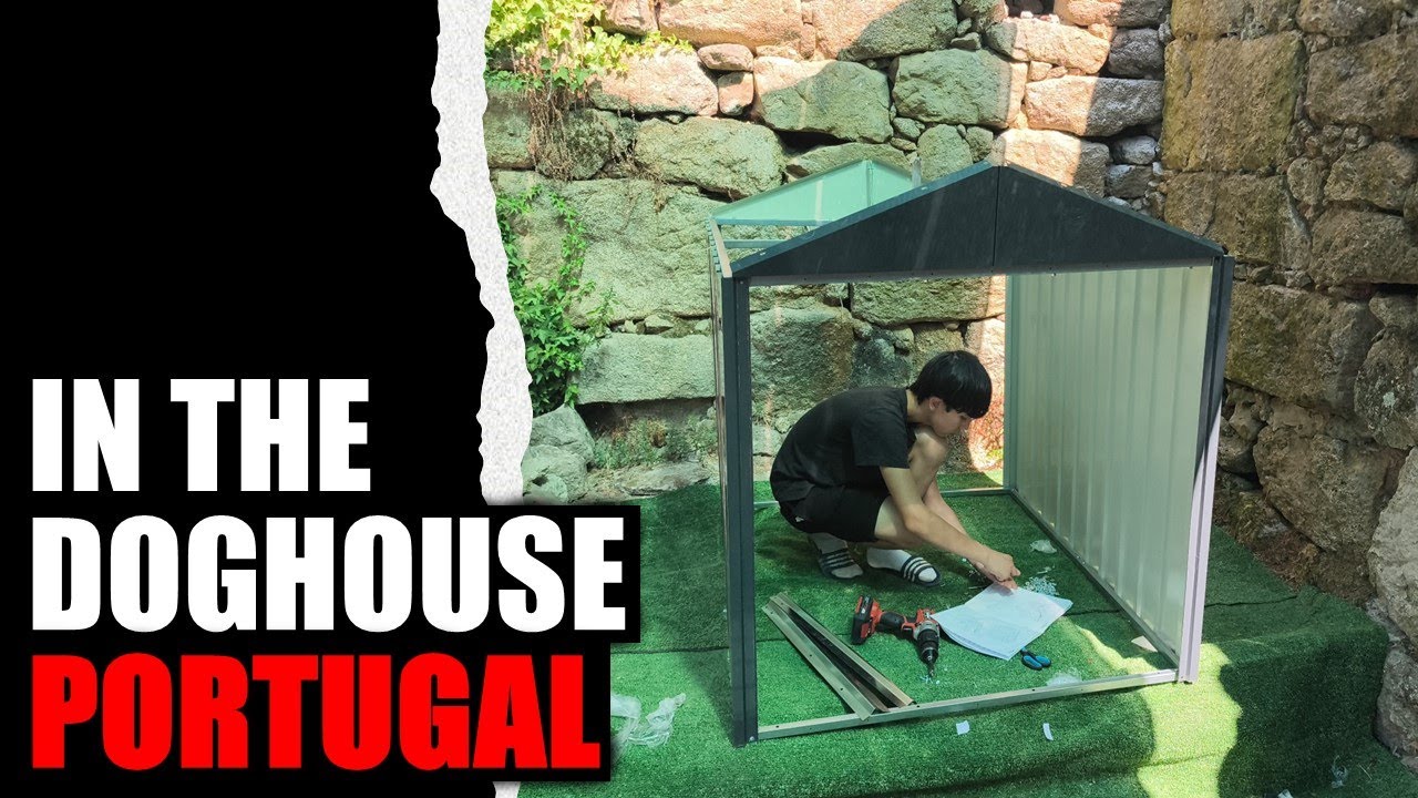 In The Doghouse In Portugal