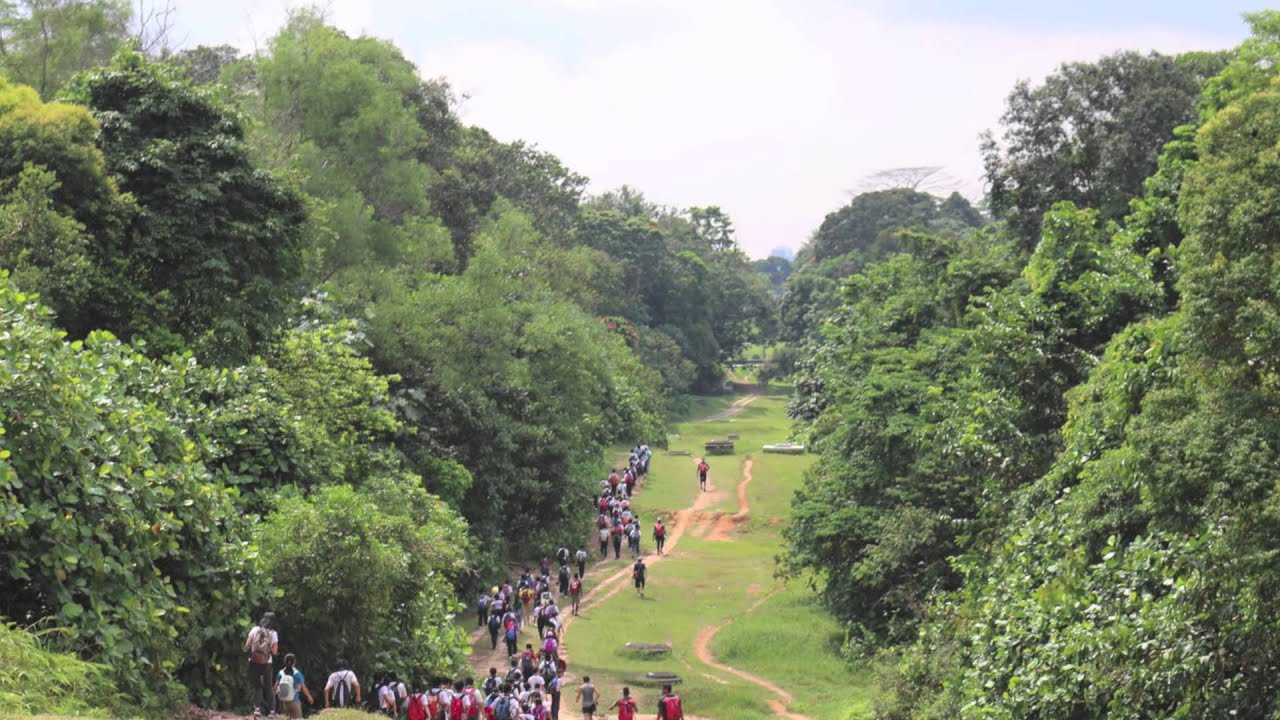 NHPS P6 Camp Montage 2013