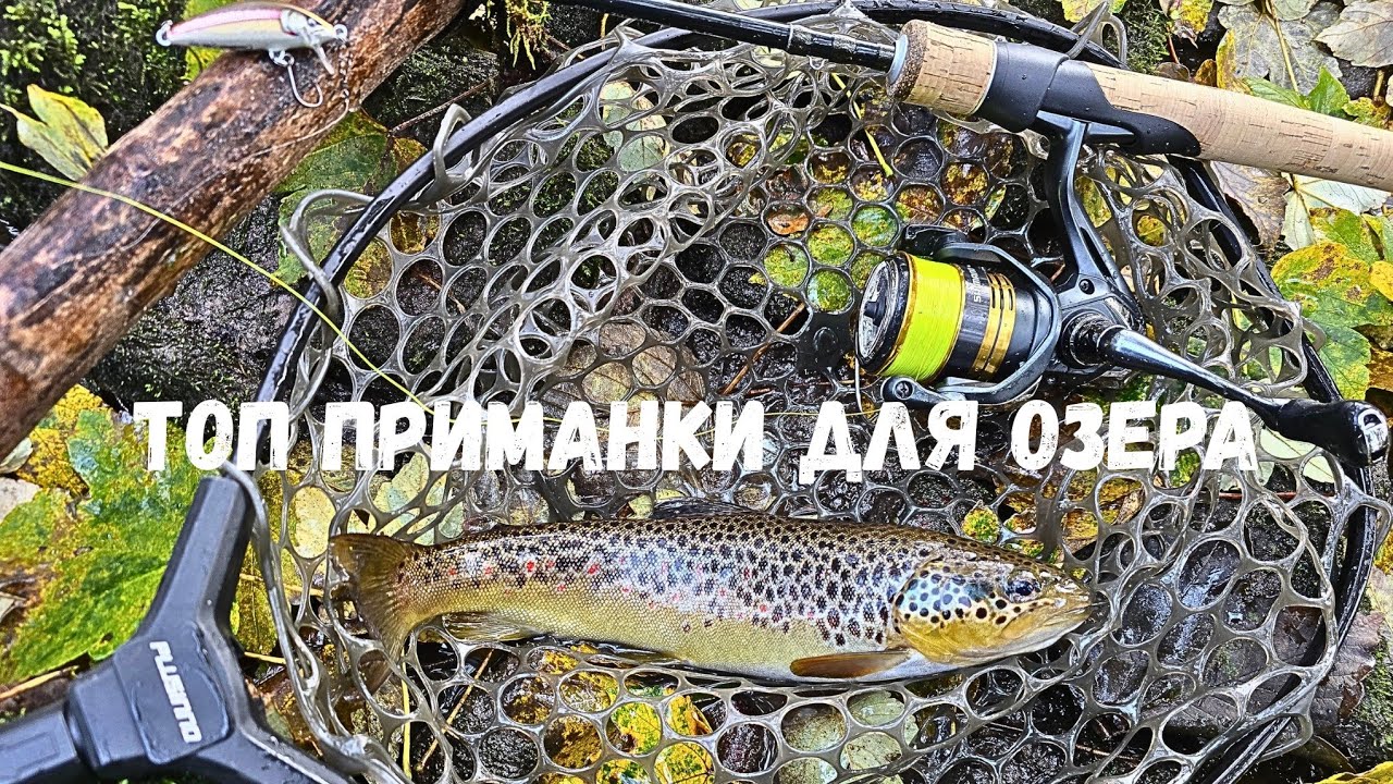 Ловля Форели на Волшебном Озере! Полезные советы, Приманки, Проводки! #спиннинг #форель #рыбалка