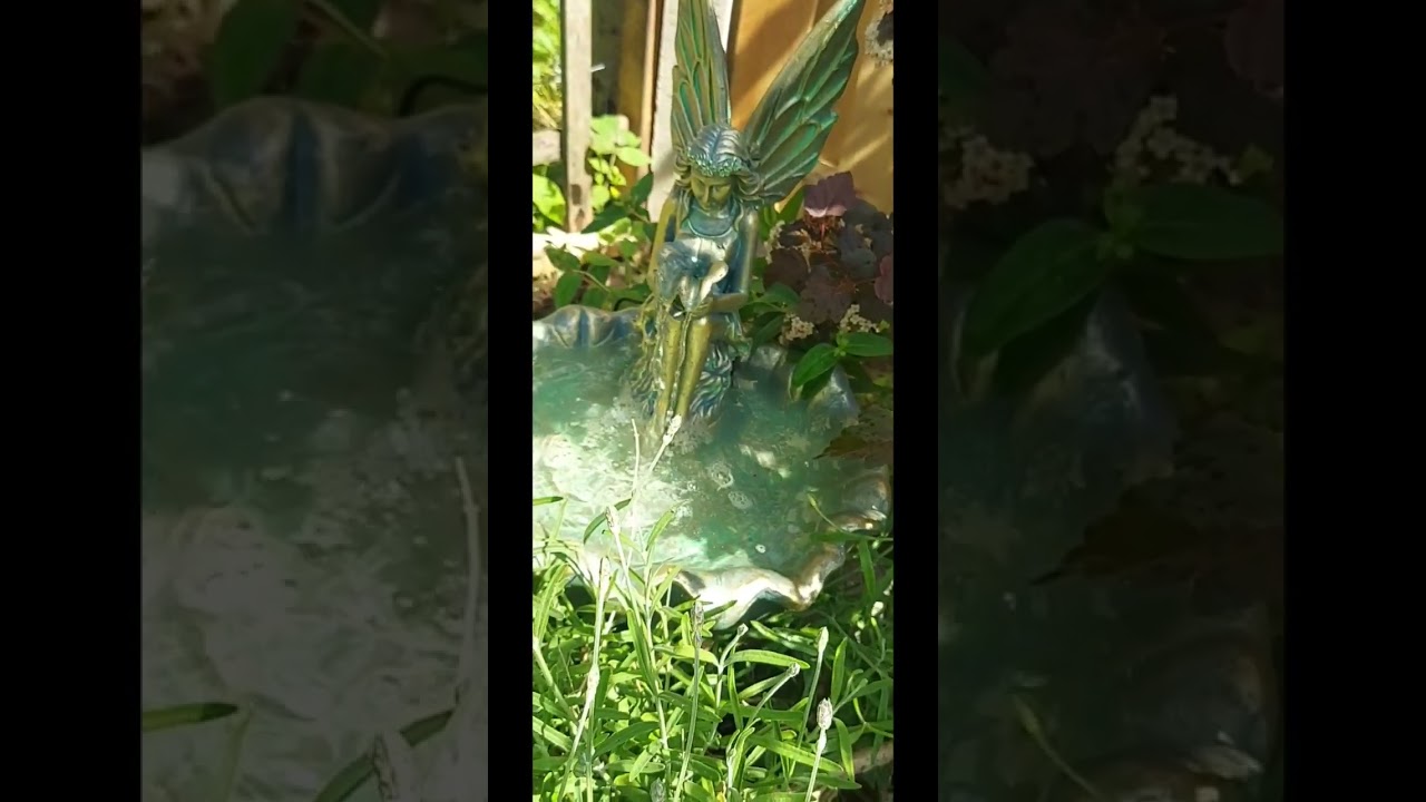 Cleo of Oldholbans Sussex spaniel memorial corner.