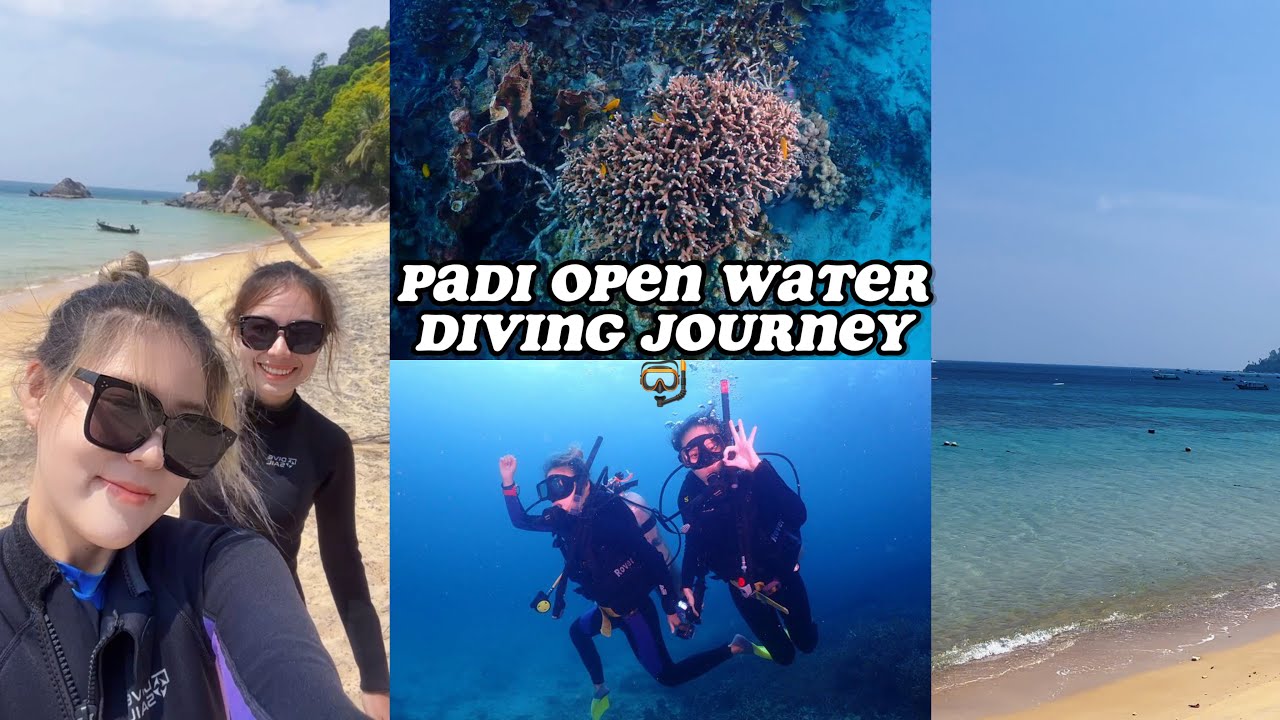 PADI Open Water 🤿  Diving Vlog | 潜水日记 @ Pulau Tioman