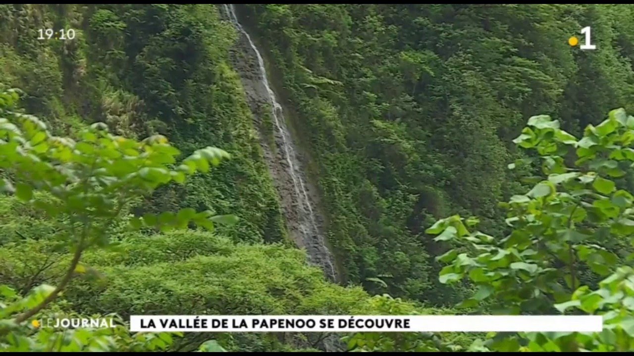 La vallée de la Papenoo se découvre