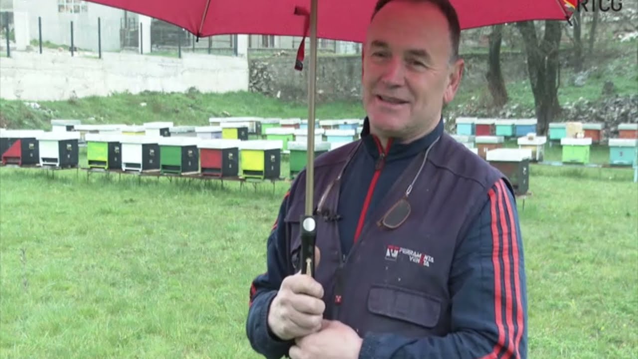 PCELARSKA PRICA - MATAN PEROVIC NIKSIC
