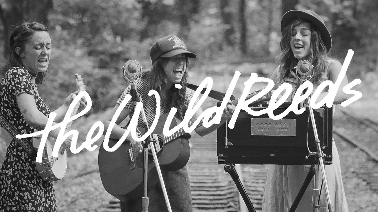 The Wild Reeds Perform 