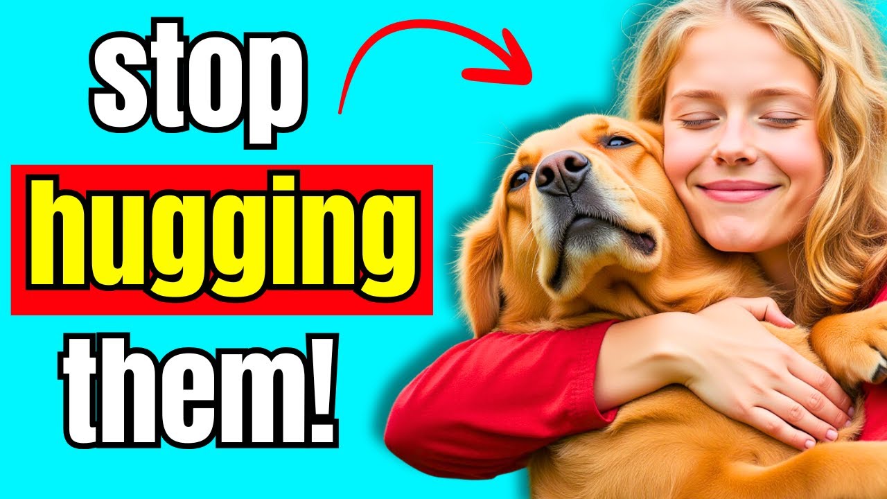 15 вещей, которые собака НИКОГДА не простит! | K9Pedia