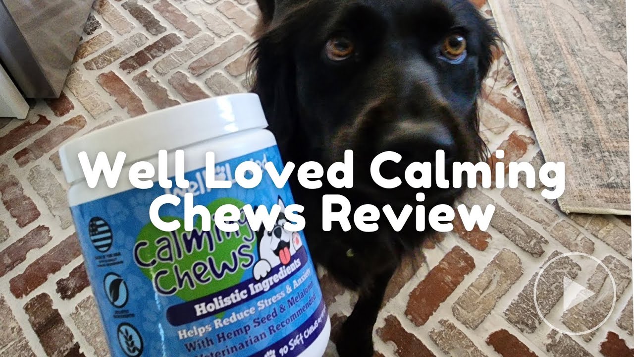 Review - Well Loved Calming Chews With My Anxious Dog