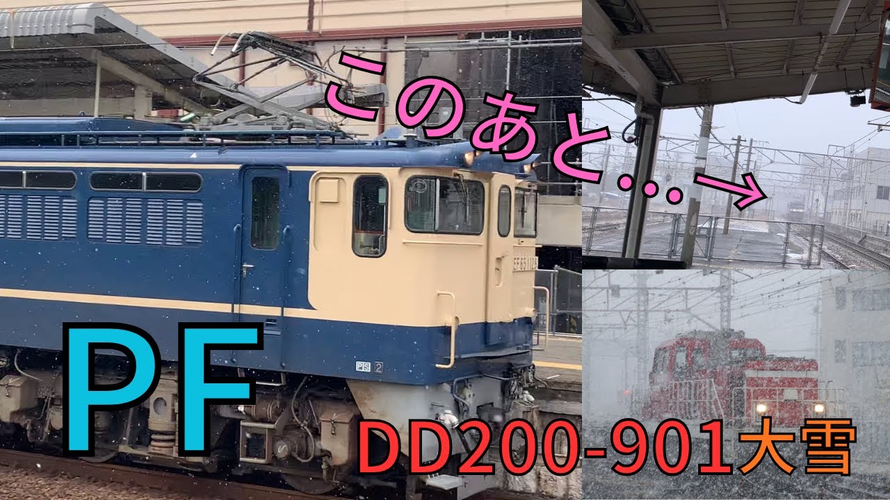 EF65を撮ったり猛吹雪の中走るDD200-901を見たり！そして2073レのムド列車を撮ろうとしたら...