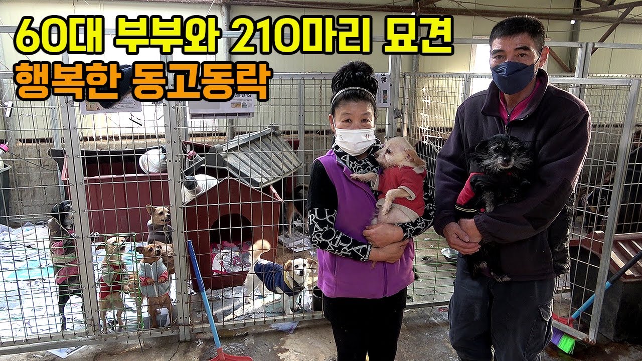 210마리 강아지 고양이 돌보기 위해 산불진화차 모는 60대 소장님