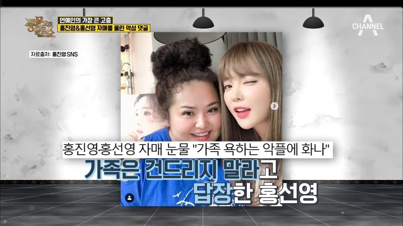 홍진영X홍선영 자매를 울린 악성 댓글(ㅠㅠ) 극한직업의 끝판왕은 '연예인' l 풍문으로 들었쇼 177회