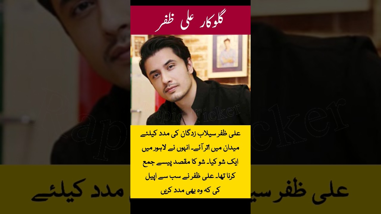 Ali Zafar charity | flood relief | Pakistani singer | fundraising show | Alhamra Cultural Complex |