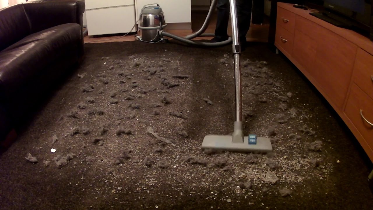 Big Mess Test: Nilfisk GM80