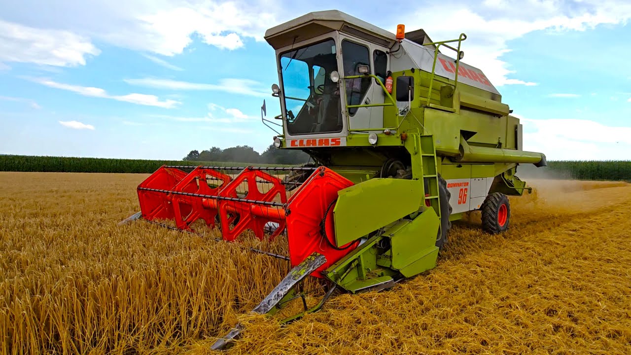 Claas Dominator 96 Harvester wie Früher mit International Case 5130 bei Sommergerste 2024 dreschen!
