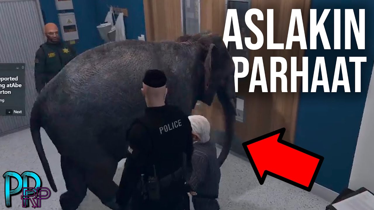 Aslak Valkiapään PARHAAT KLIPIT | #PPRP