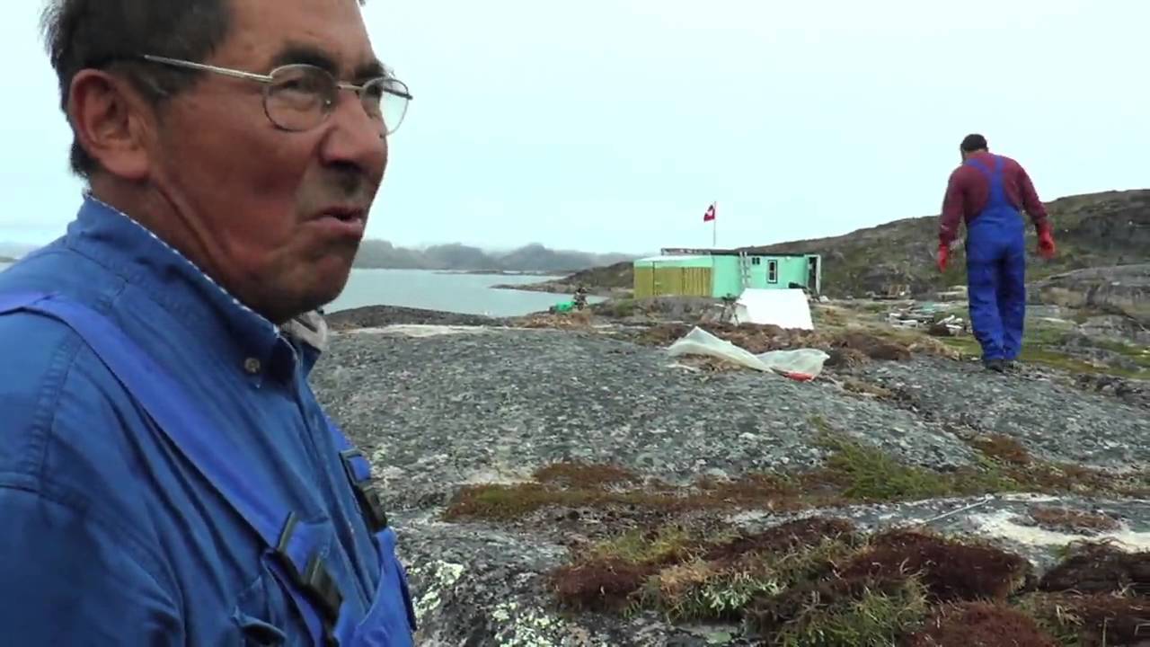 Eqalunniarneq (1:3) 12.06.2016