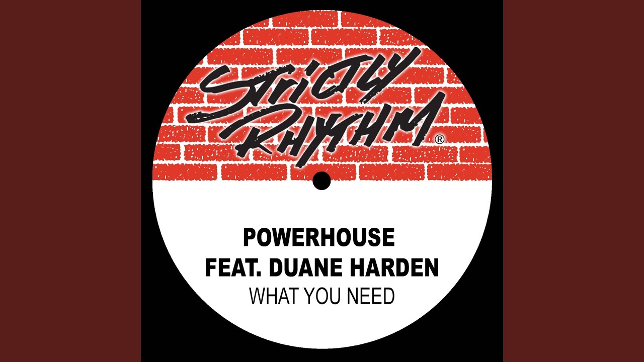 What You Need (feat. Duane Harden) (Full Intention Radio Edit)