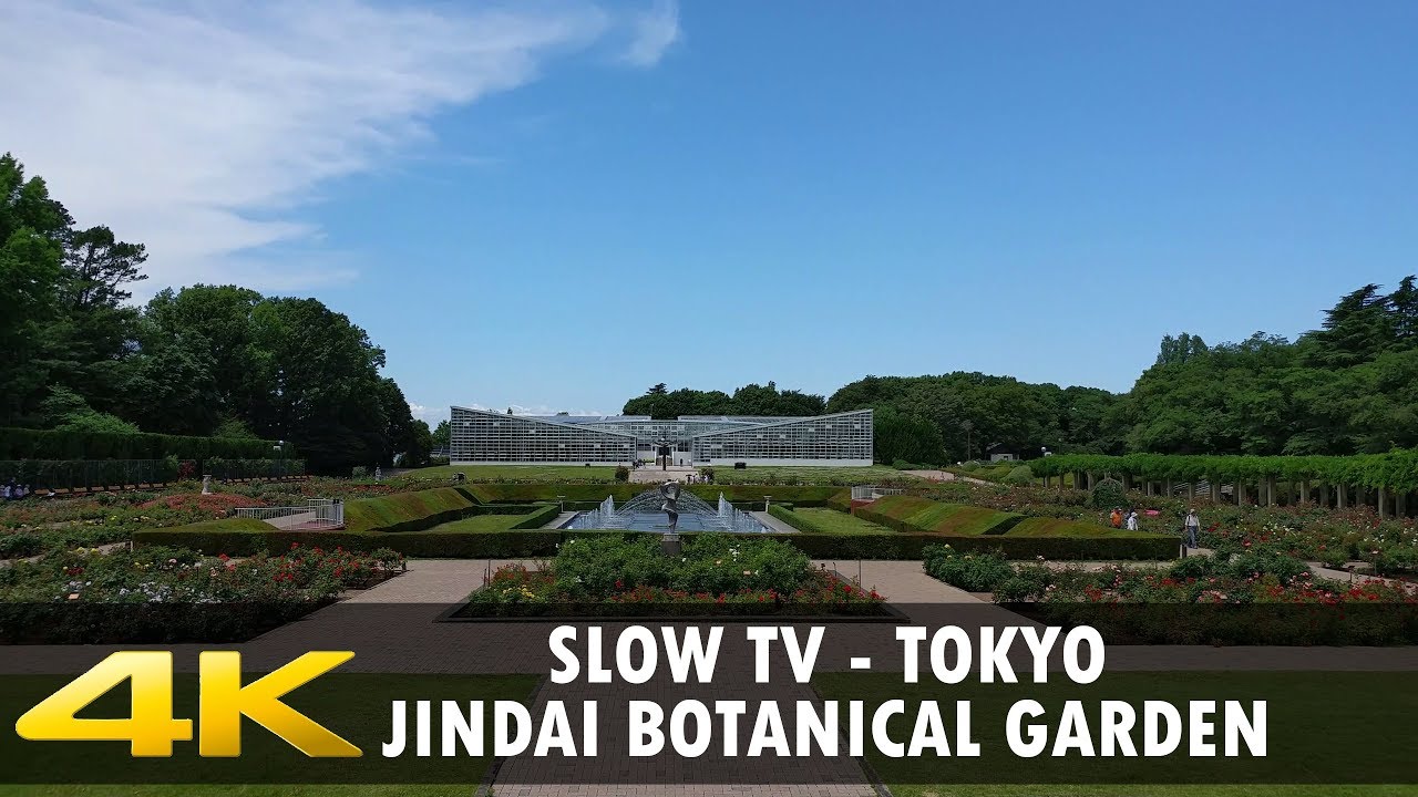 Slow TV - Walking in Tokyo - Jindai Botanical Garden. 1+ hour, 4K