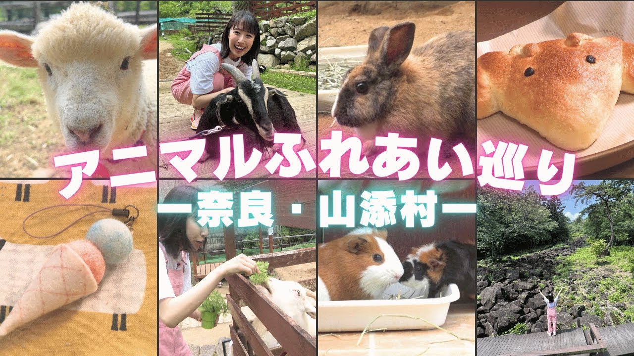 日本まんなか直送便「アニマルふれあい巡り －奈良・山添村－」