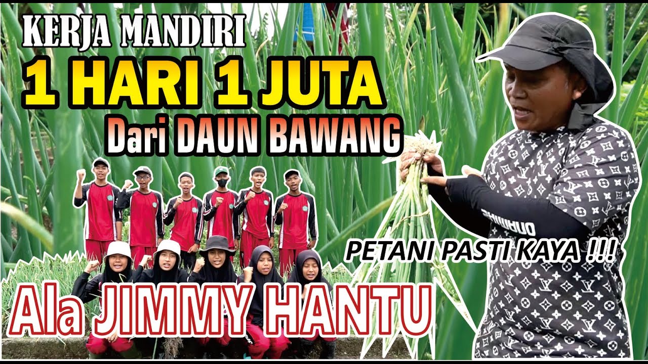 KERJA MANDIRI, 1 JUTA 1 HARI dari DAUN BAWANG ala JIMMY HANTU - Petani Pasti Kaya !!!
