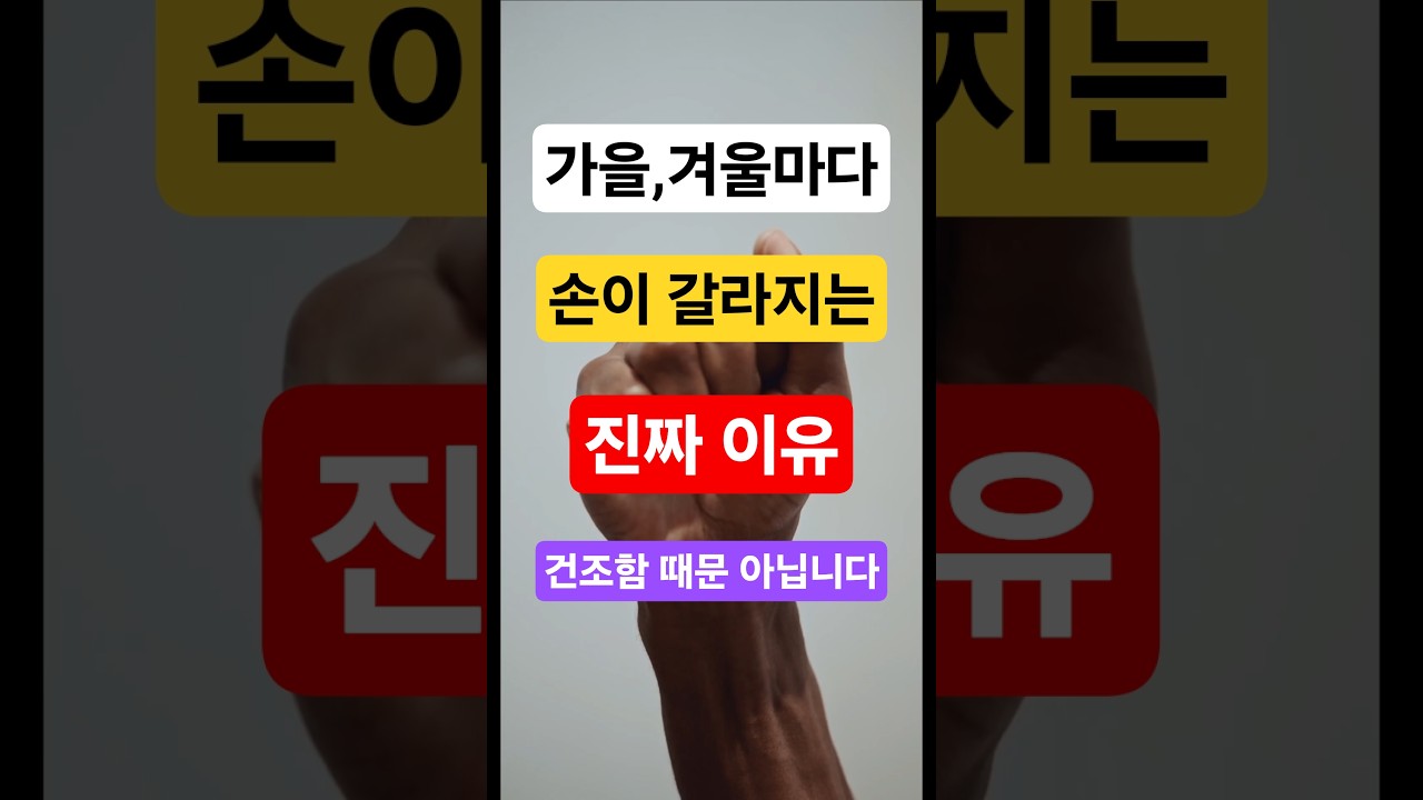 가을, 겨울 쩍쩍갈라지는 손등, 꿀피부로 가꾸는 방법 | 하루에 딱 한번 바르면 꿀손 탄생 #시니어꿀팁 #손건조