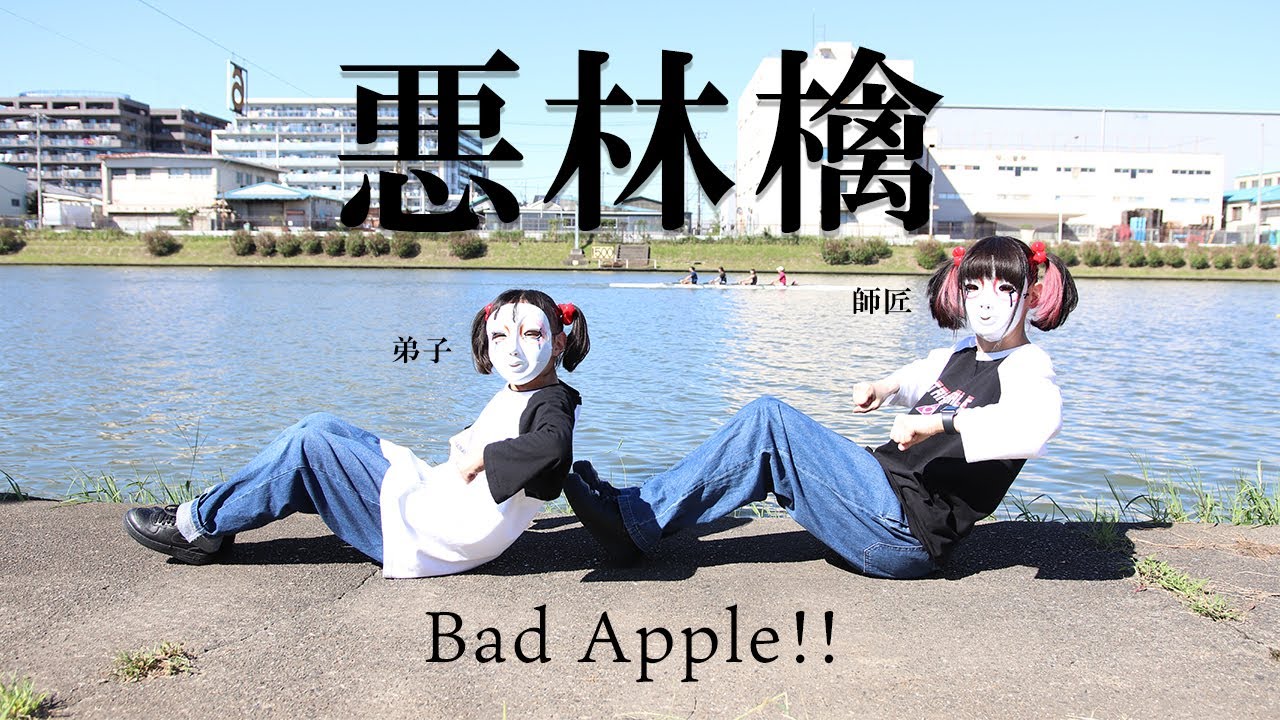 【しいたけ＆あられ】Bad Apple!!【踊ってみた】