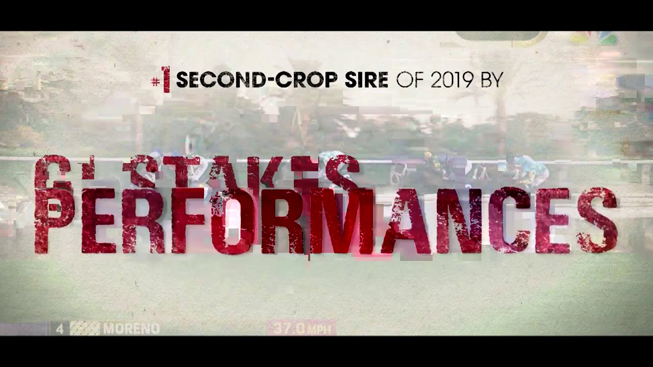 Gulfstream Park West Replay Show | November 25, 2020
