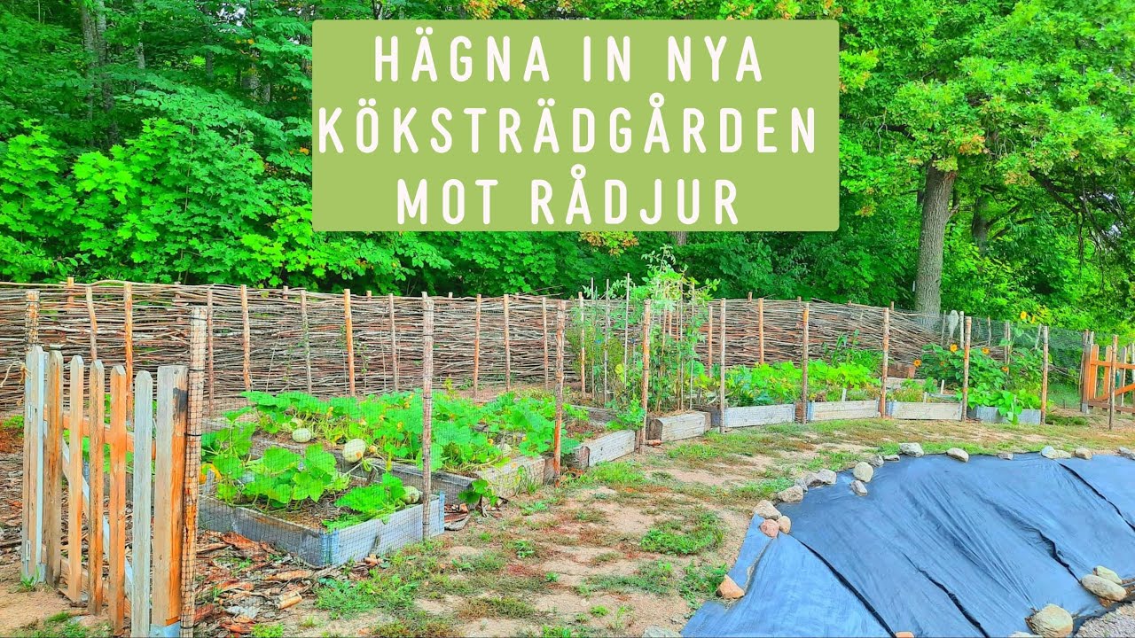 Bygger grind, staket och sätter nät. Skyddar nya köksträdgården mot rådjur och harar.