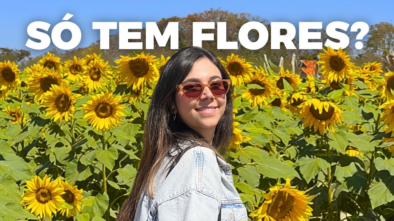 HOLAMBRA EM 1 DIA: O Roteiro PERFEITO na Cidade das Flores!