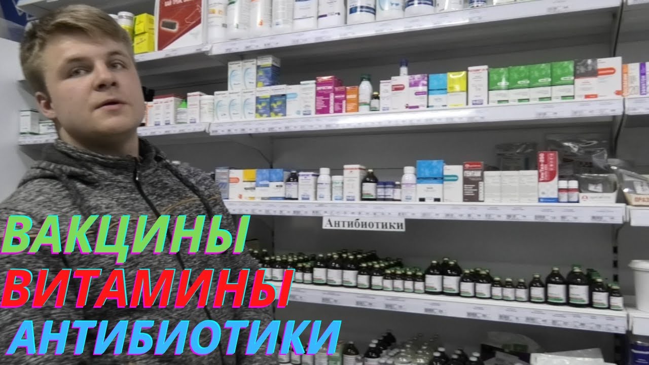 Лечение и профилактика голубей! Обзор препаратов!