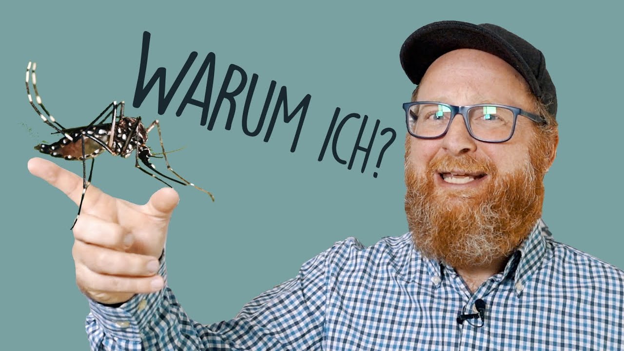 Darum stechen M&uuml;cken immer nur DICH