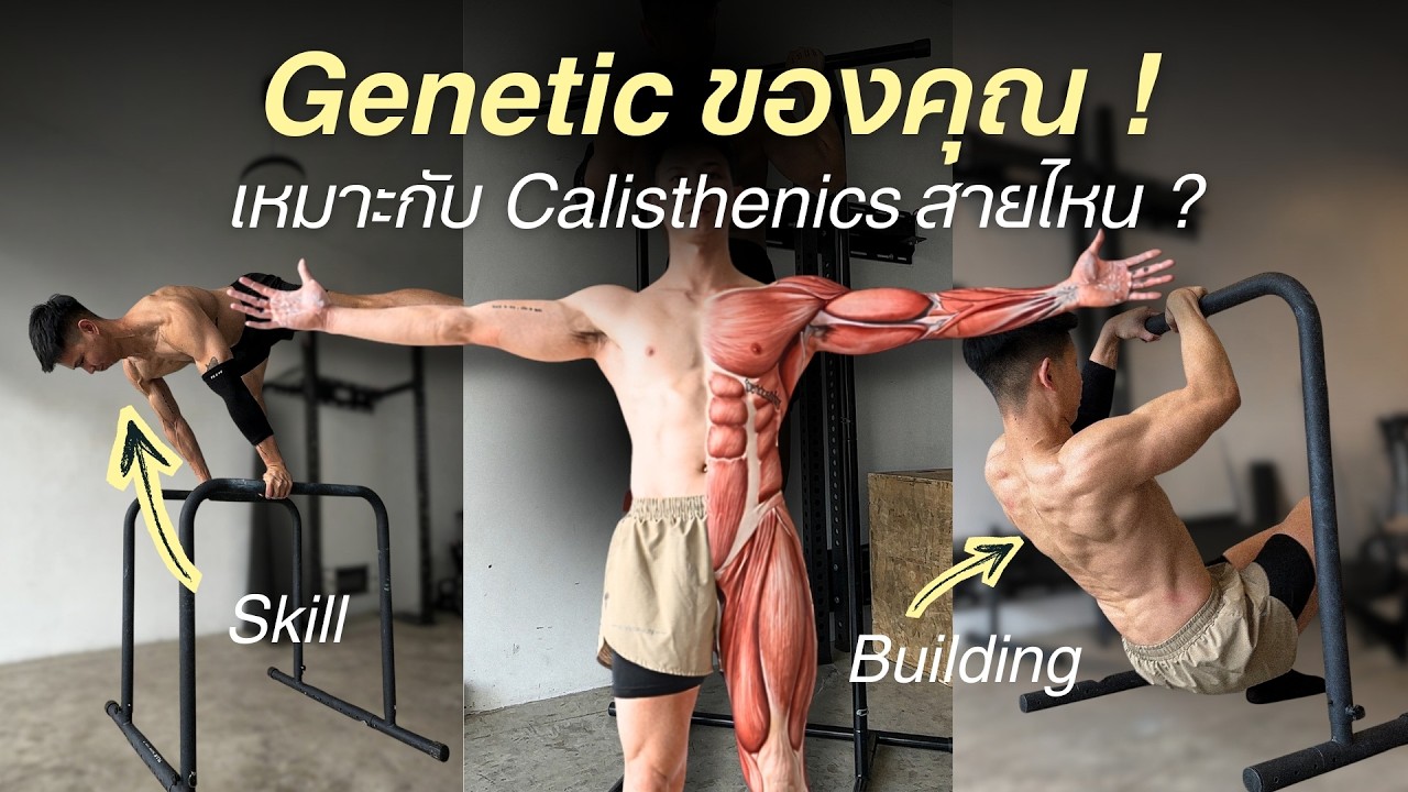 พันธุกรรมของคุณ เหมาะกับการฝึก Calisthenics สายไหน ?