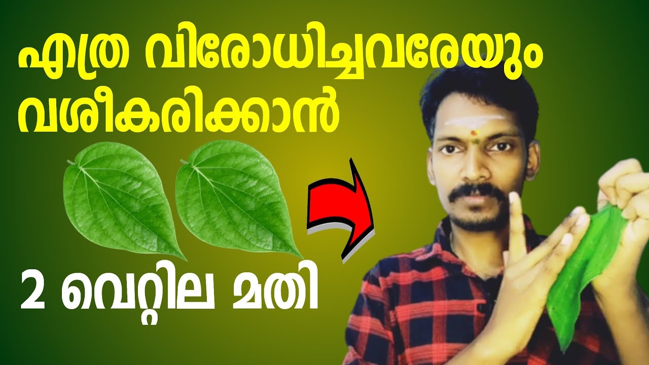എത്ര വിരോധം ഉള്ളവരേയും വെറ്റില കൊണ്ട് വശീകരിക്കാം - സ്ത്രീ പുരുഷ വശ്യം വെറ്റില കൊണ്ട്