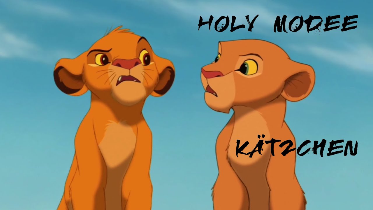 Holy Modee x König der Löwen - Kätzchen