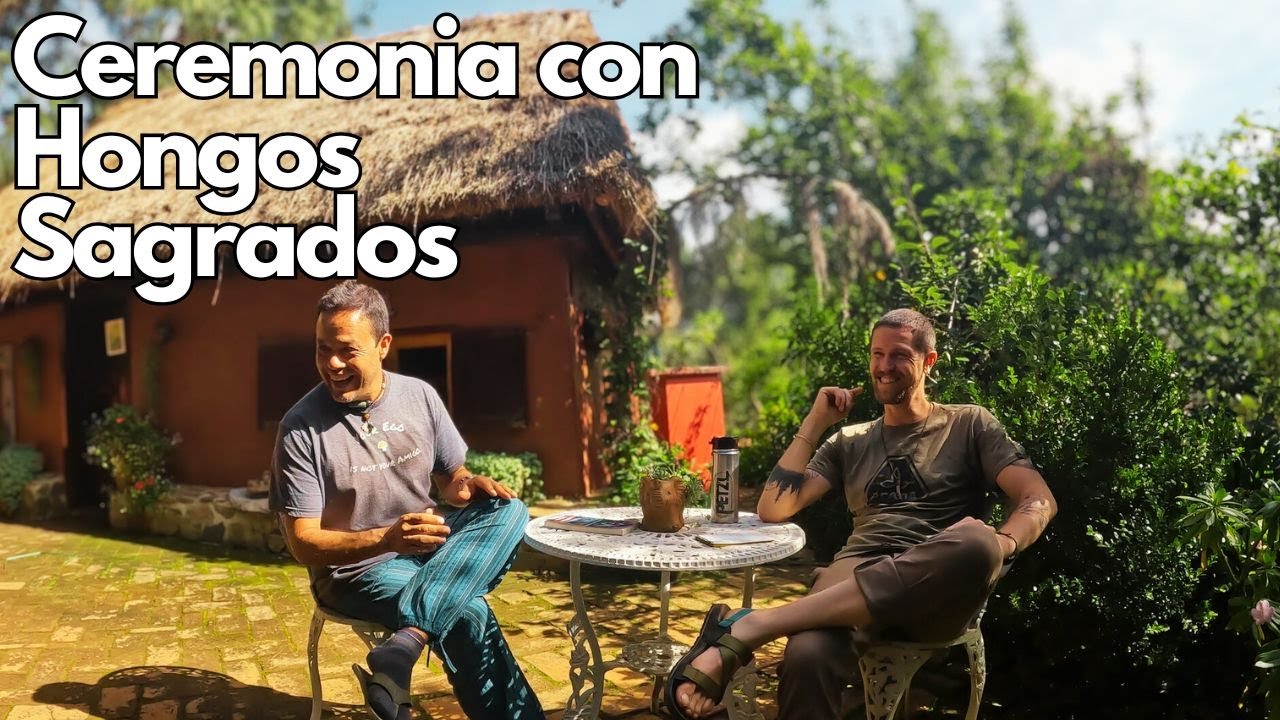 Sacred Mushroom Healing in the Mountains of Oaxaca