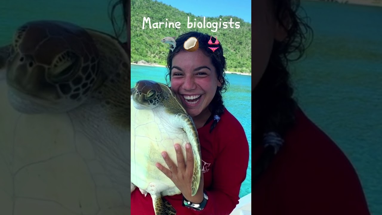 Jobs you might want | Marine Biology #marinebiologist #marinebiology #jobs #oceanlife #ocean