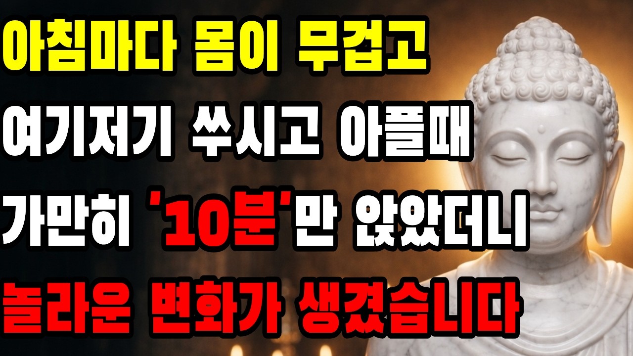 혈압 내려가는 10분 '사념처 명상' 아침 루틴