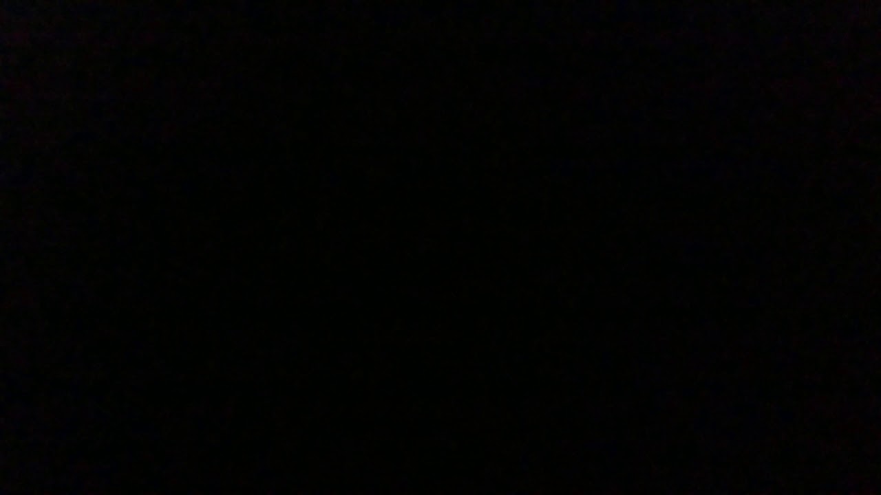 2017 Vtech Pull And Sing Puppy