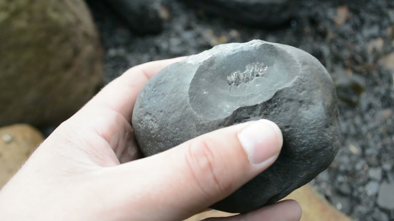 Fossil Hunting sandsend sept 2021