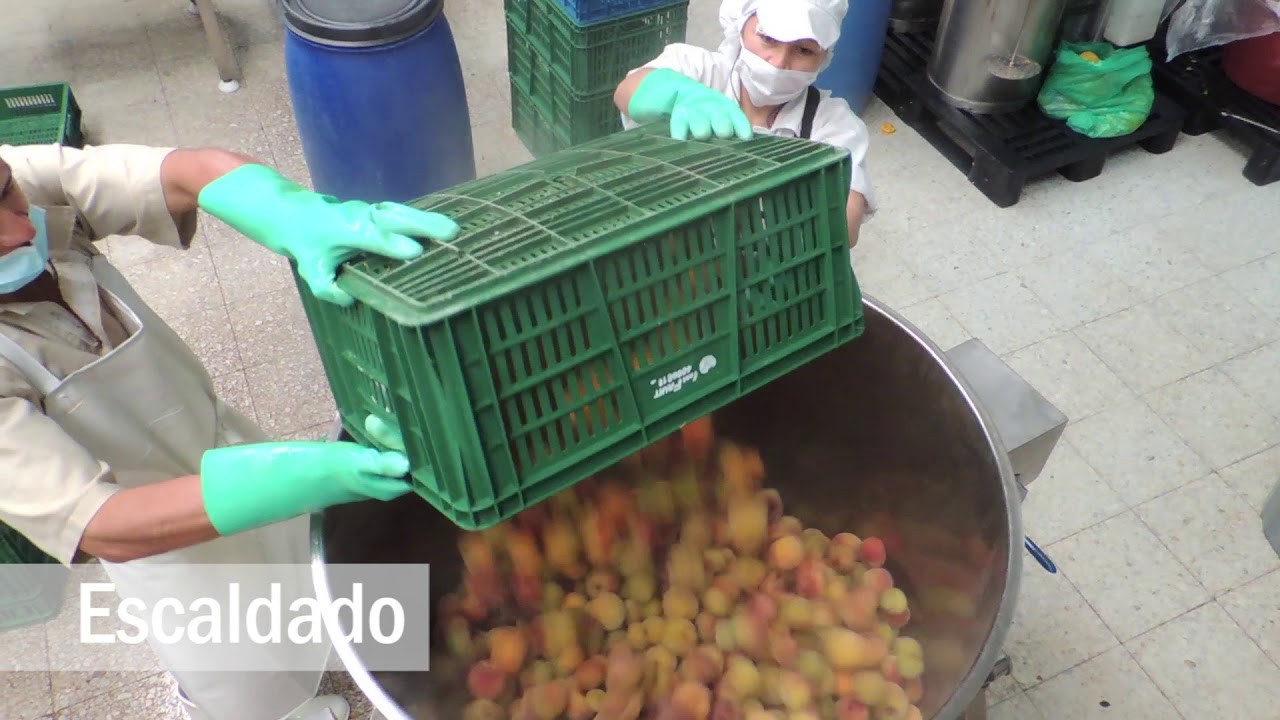 Fast Fruit, pulpa de frutas