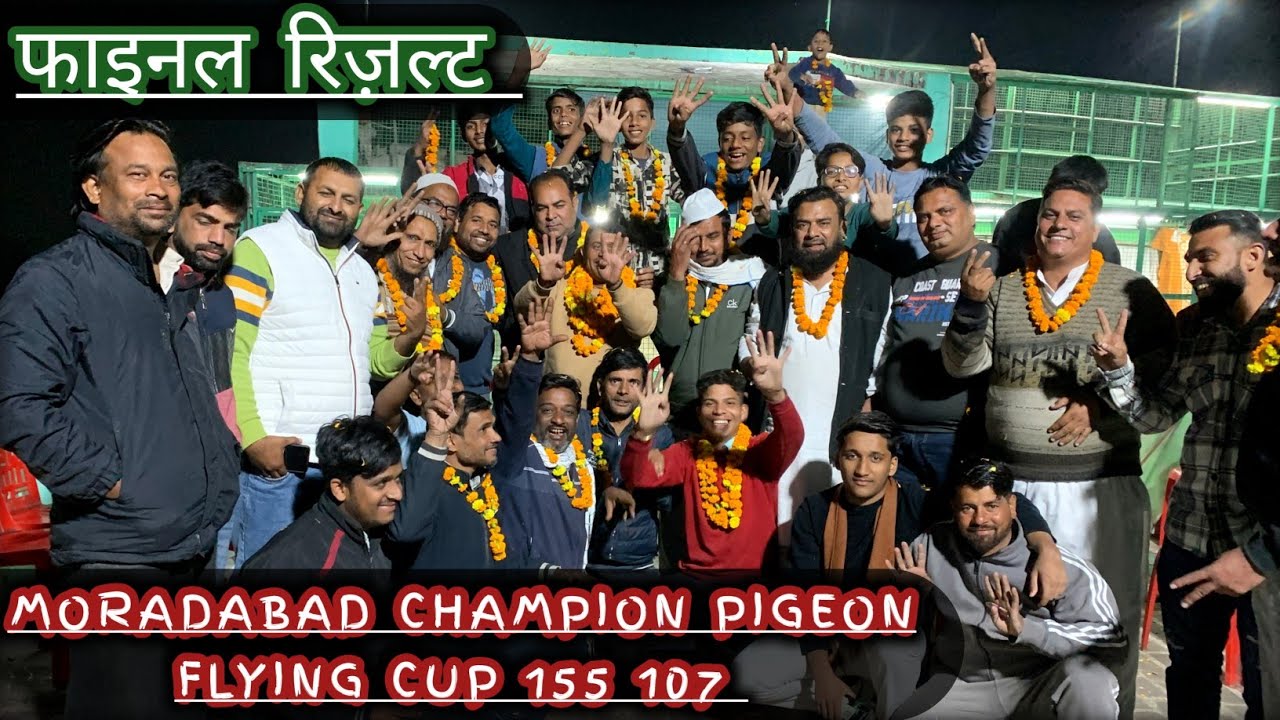 मुरादाबाद चैंपियन पिजन फ्लाइंग कप 155, 107 || फाइनल रिज़ल्ट @Moradabadipigeonlovers 