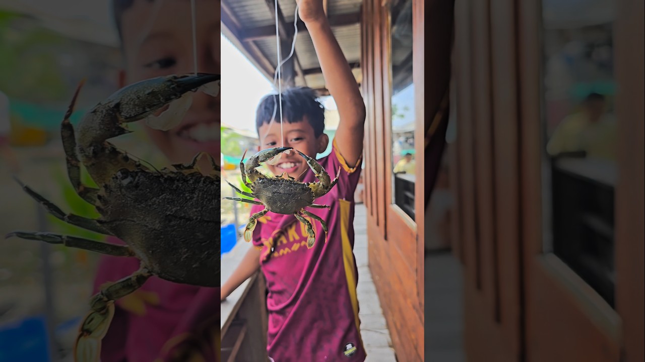 MANTAP INILAH CARA MANCING KEPITING‼️