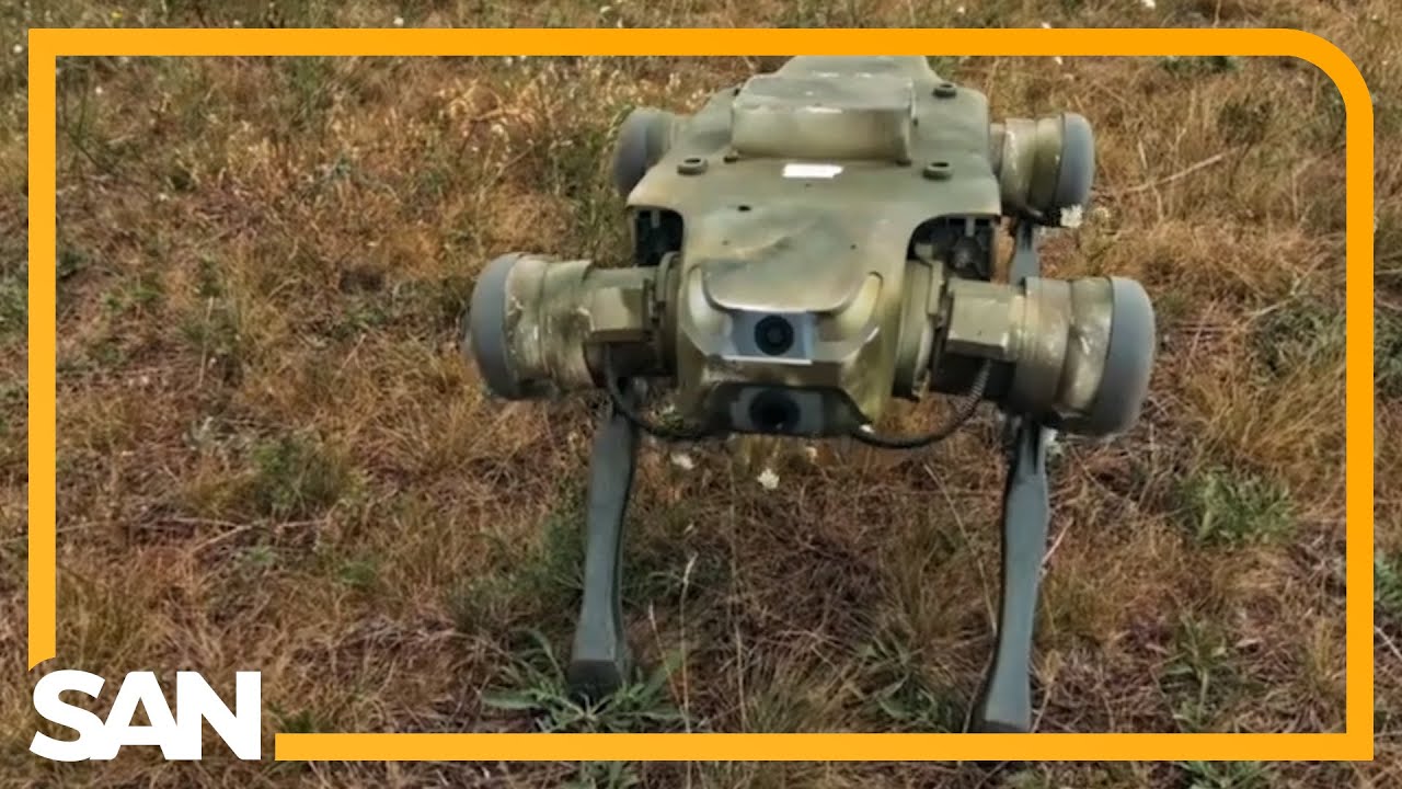Ukraine leverages robotic dogs for reconnaissance, combat