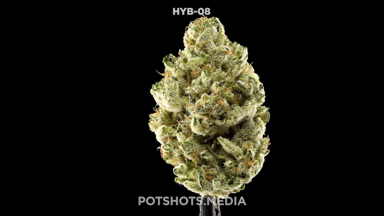 High Times Cannabis Cup SoCal 2020 - Hybrid Flower Nugs